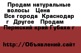 Продам натуральные волосы › Цена ­ 3 000 - Все города, Краснодар г. Другое » Продам   . Пермский край,Губаха г.